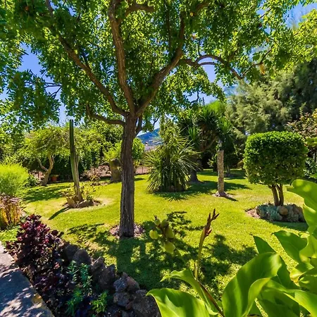 Ideal Mallorca - Sort Llarga Séjour à la campagne